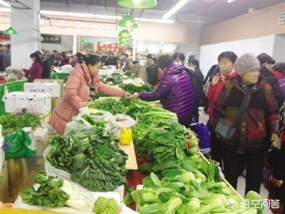 卖菜一年能赚多少钱?