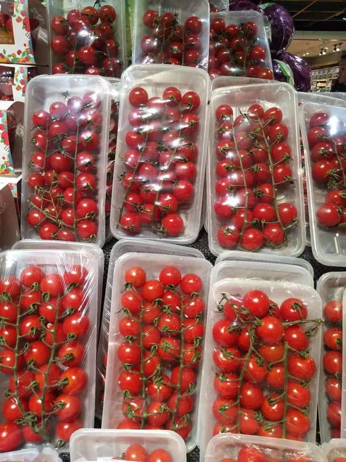 氧心园精品蔬菜 新鲜豌豆，一颗来自田野的美味