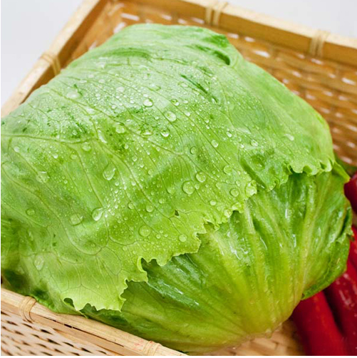 圆生菜零售价飙升 菜贩与消费者同承重压