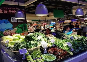 盒马又出 鲜 招 盒马菜市 首家店落户上海